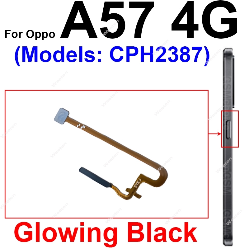 Cavo flessibile del sensore di - Fingerprint Cable Flex recensione e prezzo